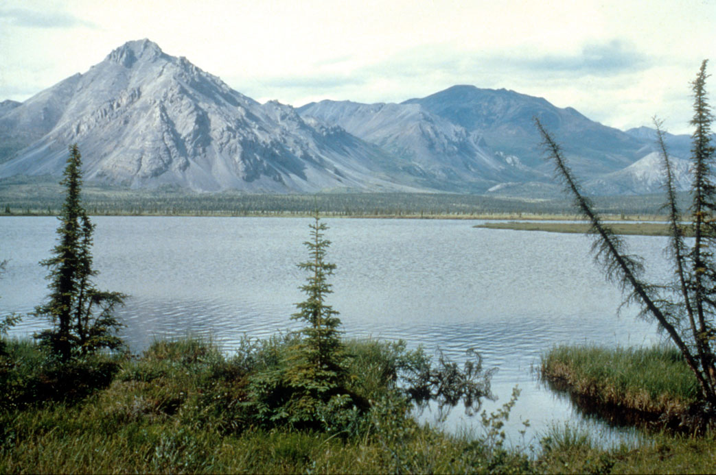 The Arctic National Wildlife Refuge in Alaska. (Getty/U.S. Fish and Wildlife Service)