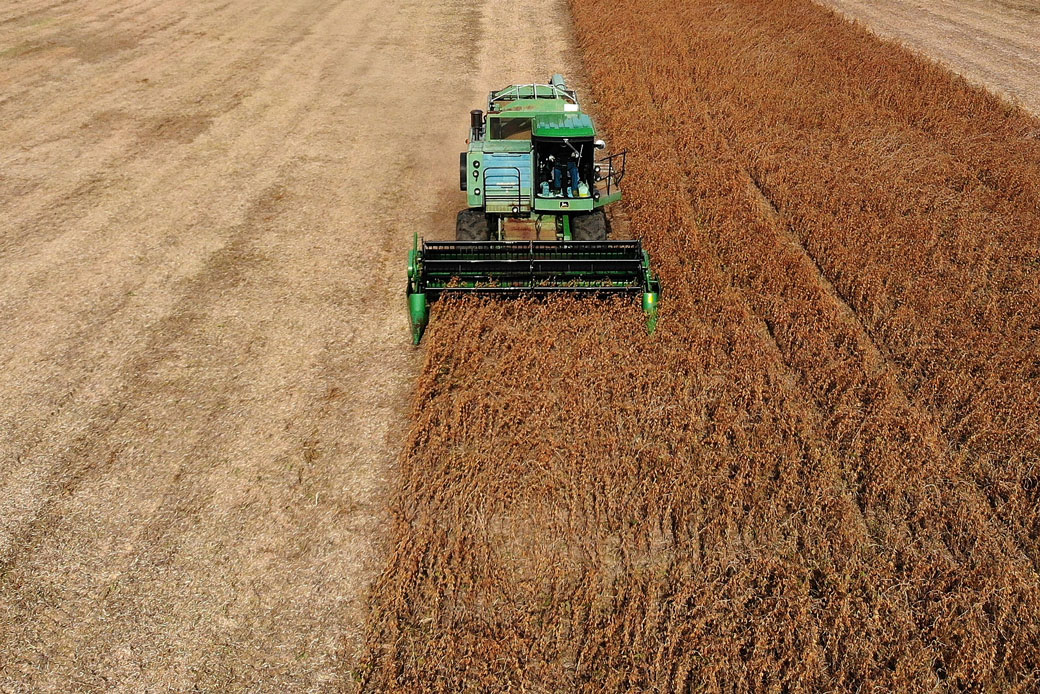 (A farmer drives a harvester while harvesting soybeans on October 19, 2018, in Owings, Maryland.)