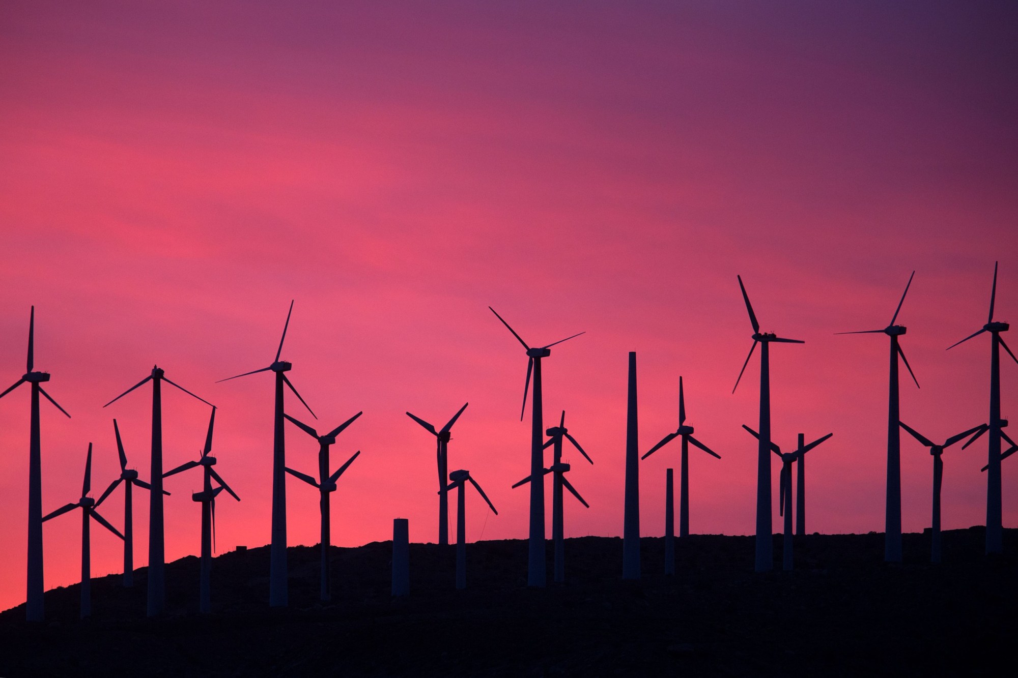 Electric-energy-generating wind turbines are seen on a wind farm in the San Gorgonio Pass area on Earth Day, April 22, 2016. (Getty/David McNew)