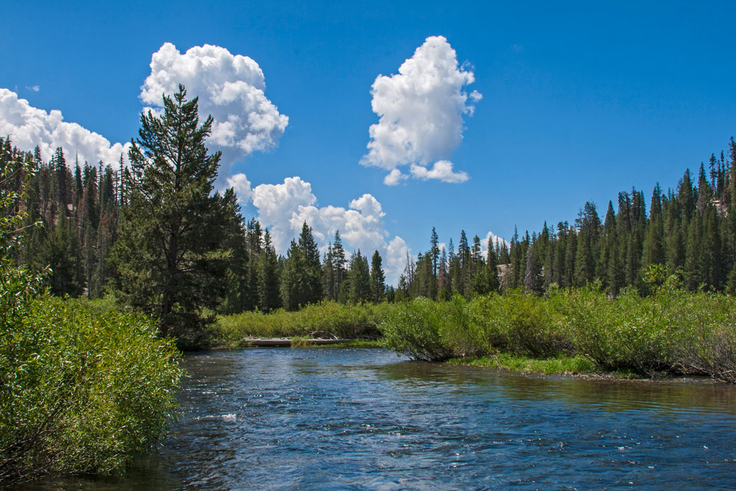 The Middle Fork of the San Joaquin River in California, pictured in March 2017, is a popular fishing destination. (Getty/Education Images/Universal Images)