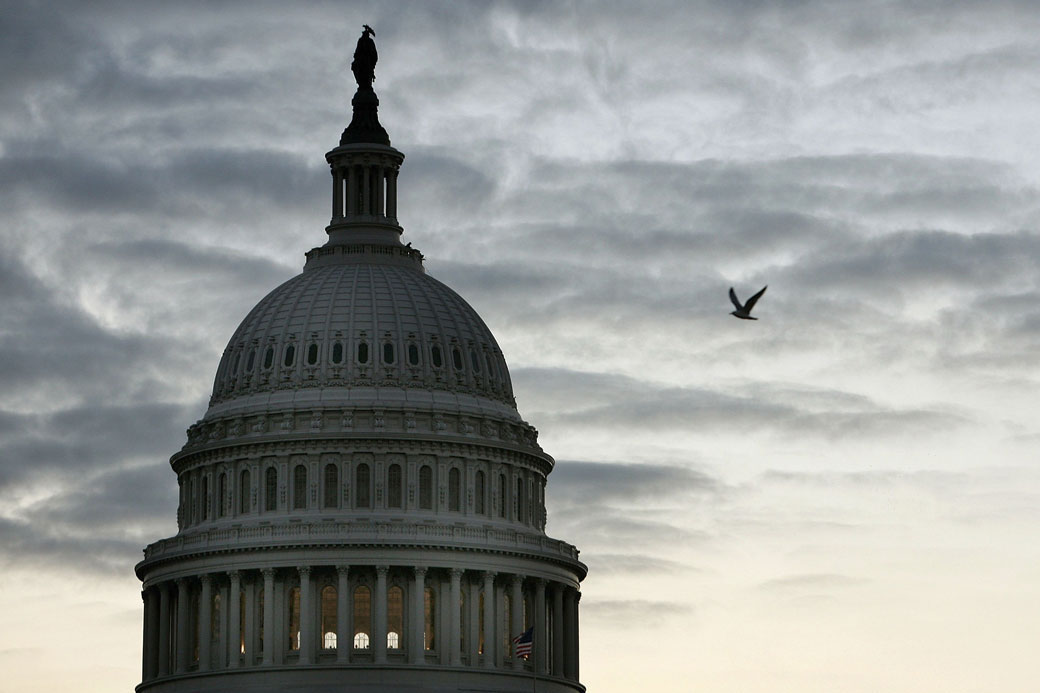 A bird flies past the U.S. Capitol in Washington, D.C., October 2006. (Getty/Mark Wilson)
