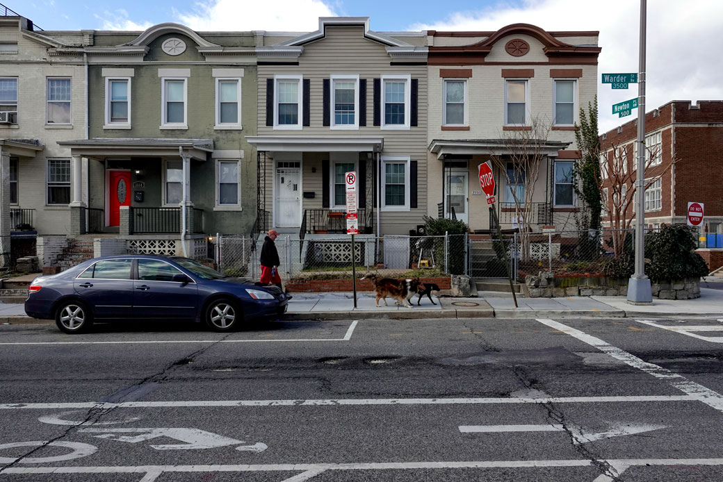 A man walks his dogs through the Park View neighborhood in Washington, D.C., February 2019. (Getty/The Washington Post/Bonnie Jo Mount)