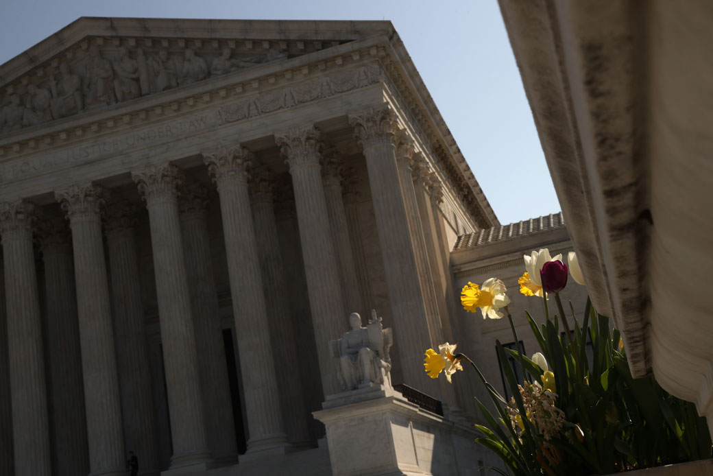 Spring flowers bloom in front of the U.S. Supreme Court in Washington, D.C., following the announcement that it would be delaying oral arguments scheduled for April. (Getty/Alex Wong)