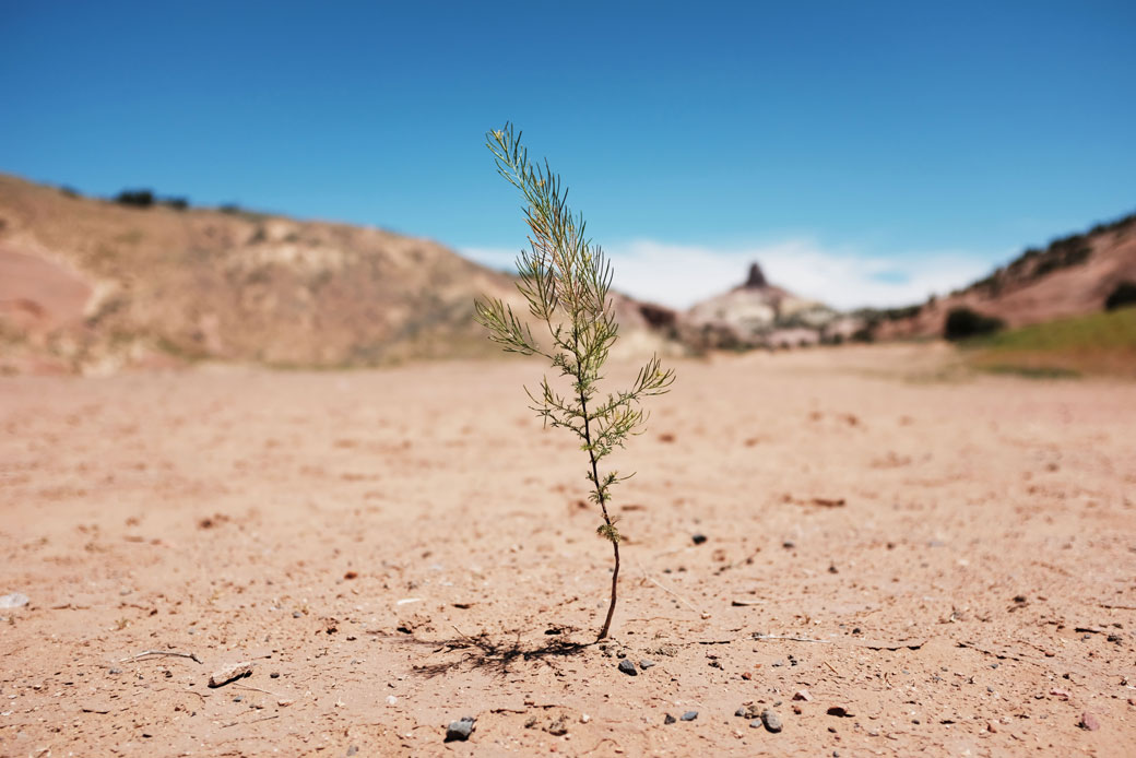 A dry landscape stands on Navajo Nation lands in the city of Gallup, New Mexico, June 2019. (Getty/Spencer Platt)