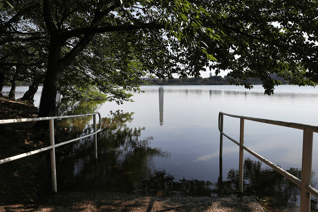 The Tidal Basin's crumbling seawall and sidewalks are routinely underwater due to rising sea levels, Washington, D.C., July 2019. (Getty/Mark Wilson)