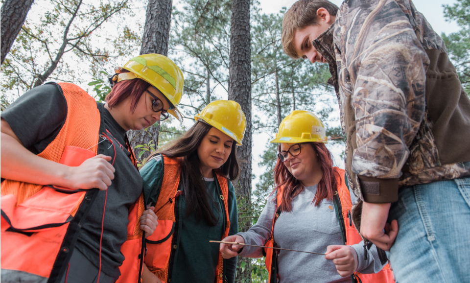 Olivia Cohea’s forestry class in the field.