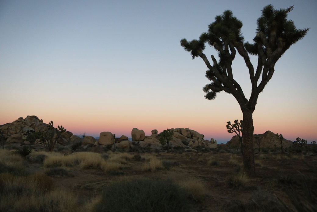 The sun sets at Joshua Tree National Park in California in January 2019. (Getty/Mario Tama)