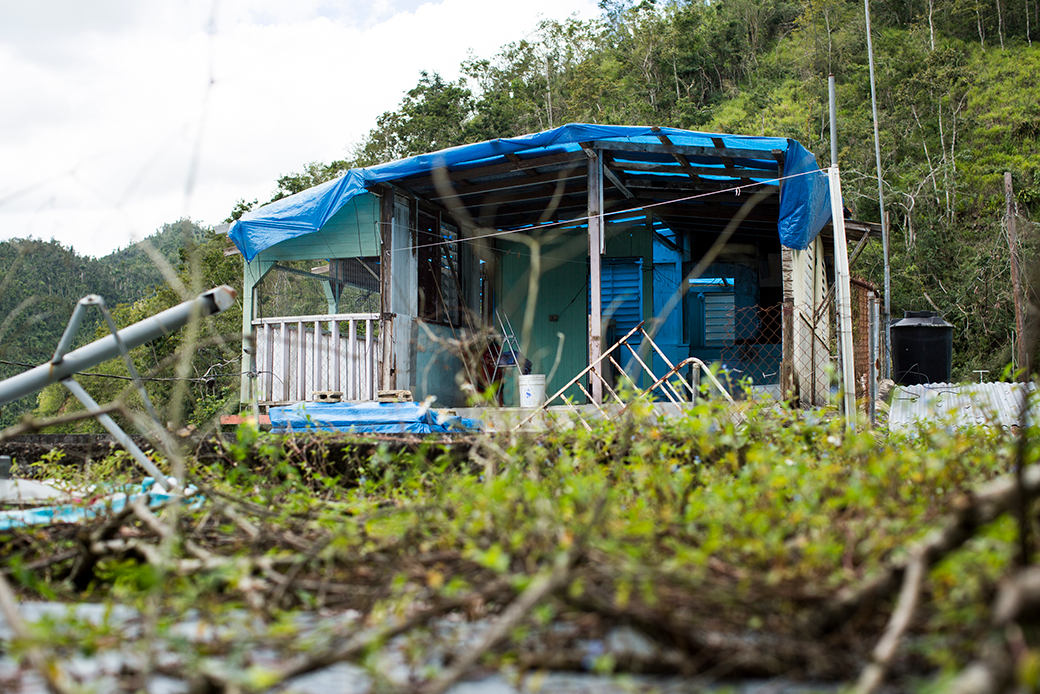  (Ruins of a house with missing walls, debris, and a blue tarp pulled over as a roof.)