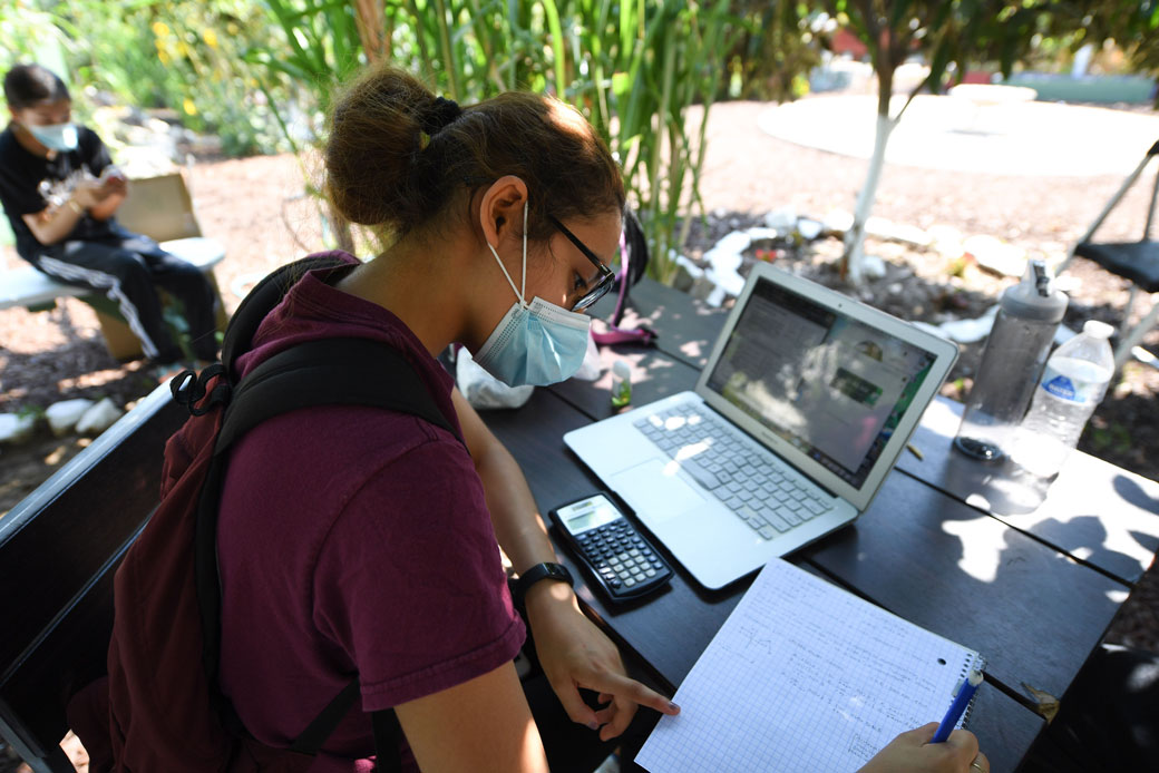 A high school student follows a remote Advanced Placement calculus class while sitting in a community garden in Los Angeles, August 2020. (Getty/AFP/Robyn Beck)