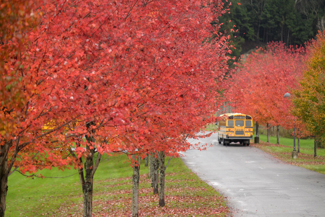  (A school bus drives down a street in Waitsfield, Vermont, February 2013.)