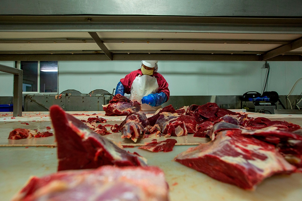 A butcher chops up beef at Jones Meat & Food Services in Rigby, Idaho, May 2020. Thousands of meat and poultry workers in the United States have contracted the coronavirus in processing plants. (Getty/Natalie Behring/AFP)