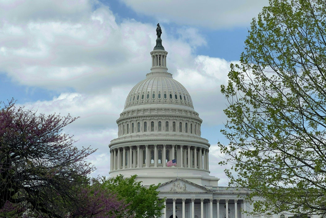 Trees flank the U.S. Capitol building in Washington, D.C., April 2021. (Getty/Daniel Slim/AFP)