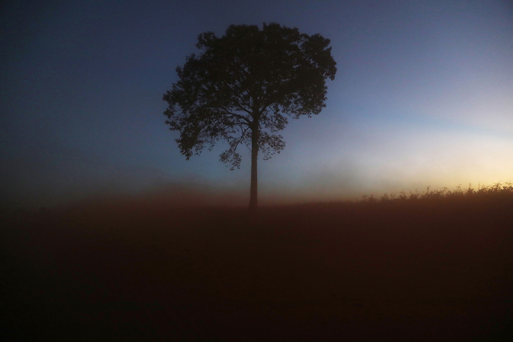 A lone tree stands in a deforested section of the Amazon Rainforest on June 28, 2017, near Chupinguaia. (Getty/Mario Tama)