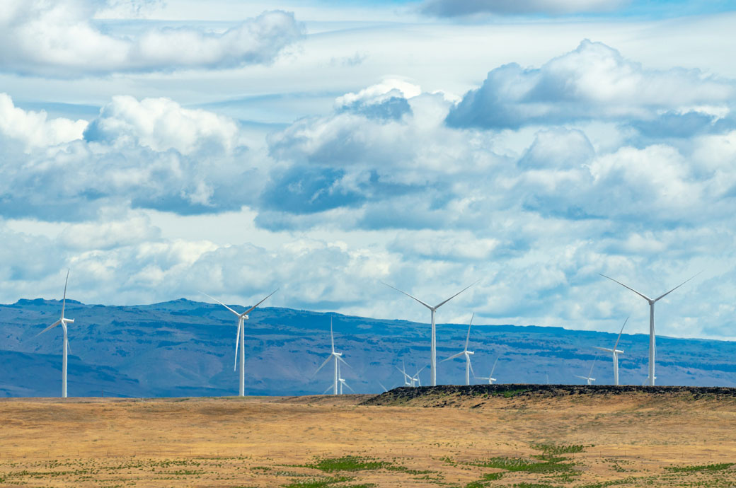 General view of an electric wind farm outside Boise, May 2021. (Getty/AaronP/Bauer-Griffin)