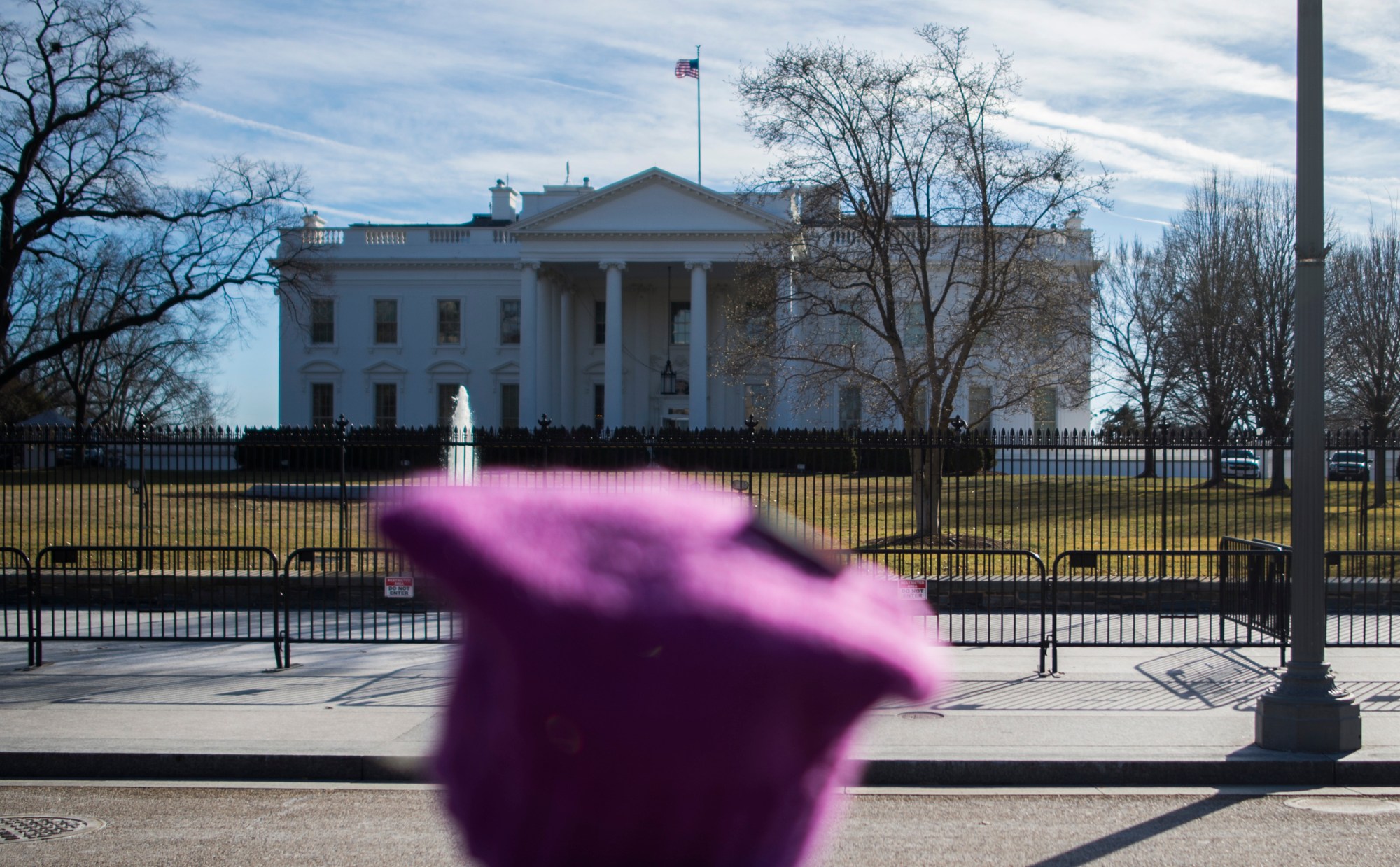 A protester looks toward the White House following the Women's March on Washington 2018: March On The Polls! on the National Mall on January 20, 2018 in Washington DC. / AFP PHOTO / Andrew CABALLERO-REYNOLDS        (Photo credit should read ANDREW CABALLERO-REYNOLDS/AFP via Getty Images)