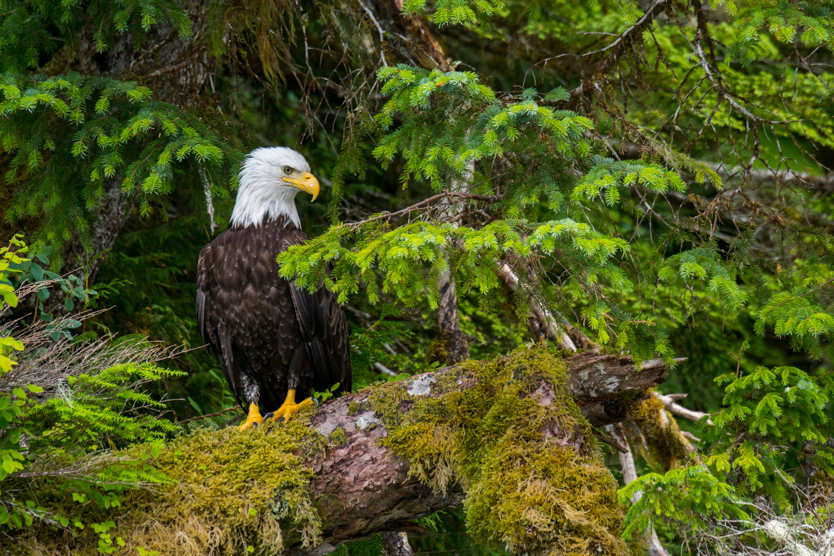 Tribal Relations  US Forest Service