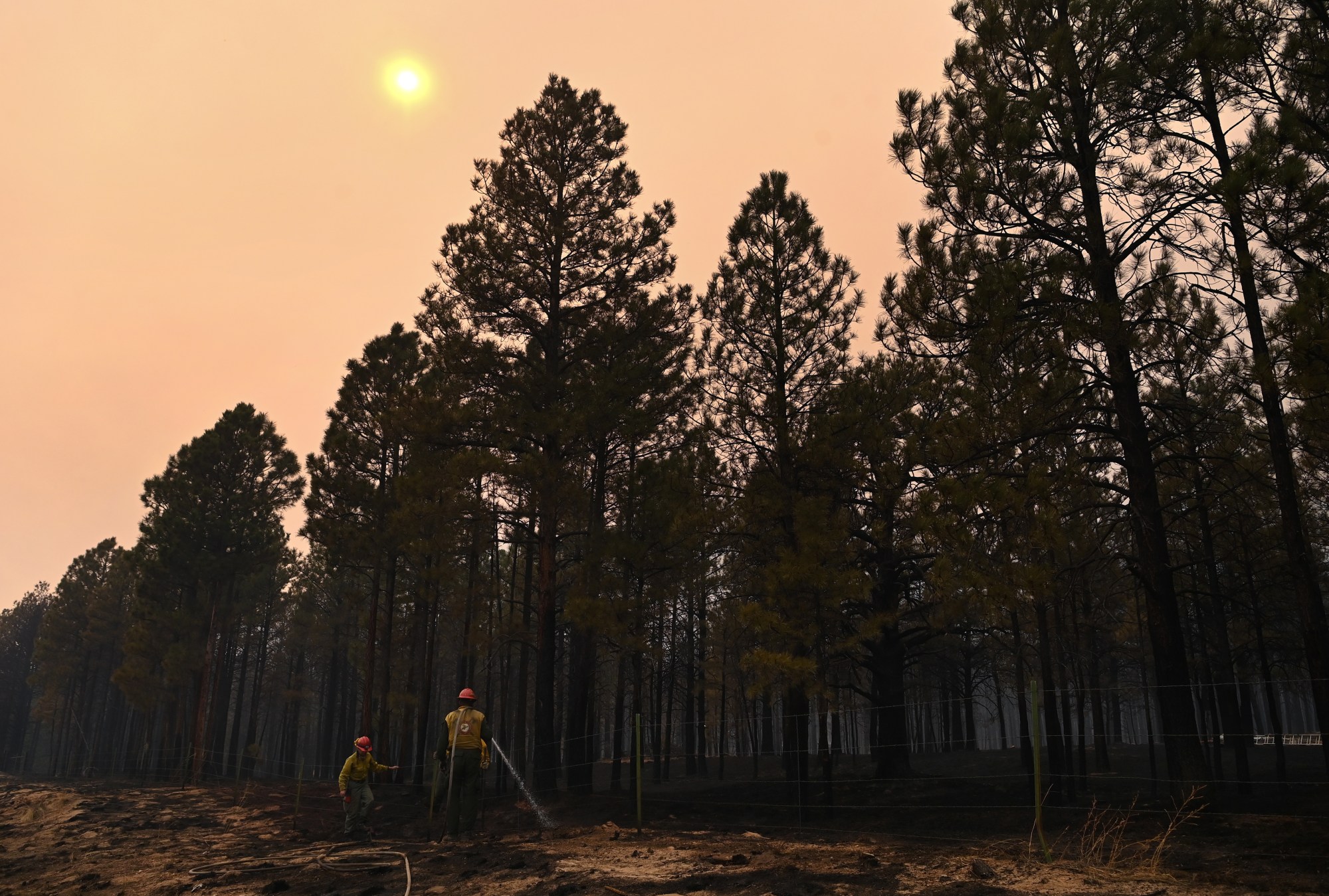 Photo shows two firefighters with a hose in front of a smoky forest.
