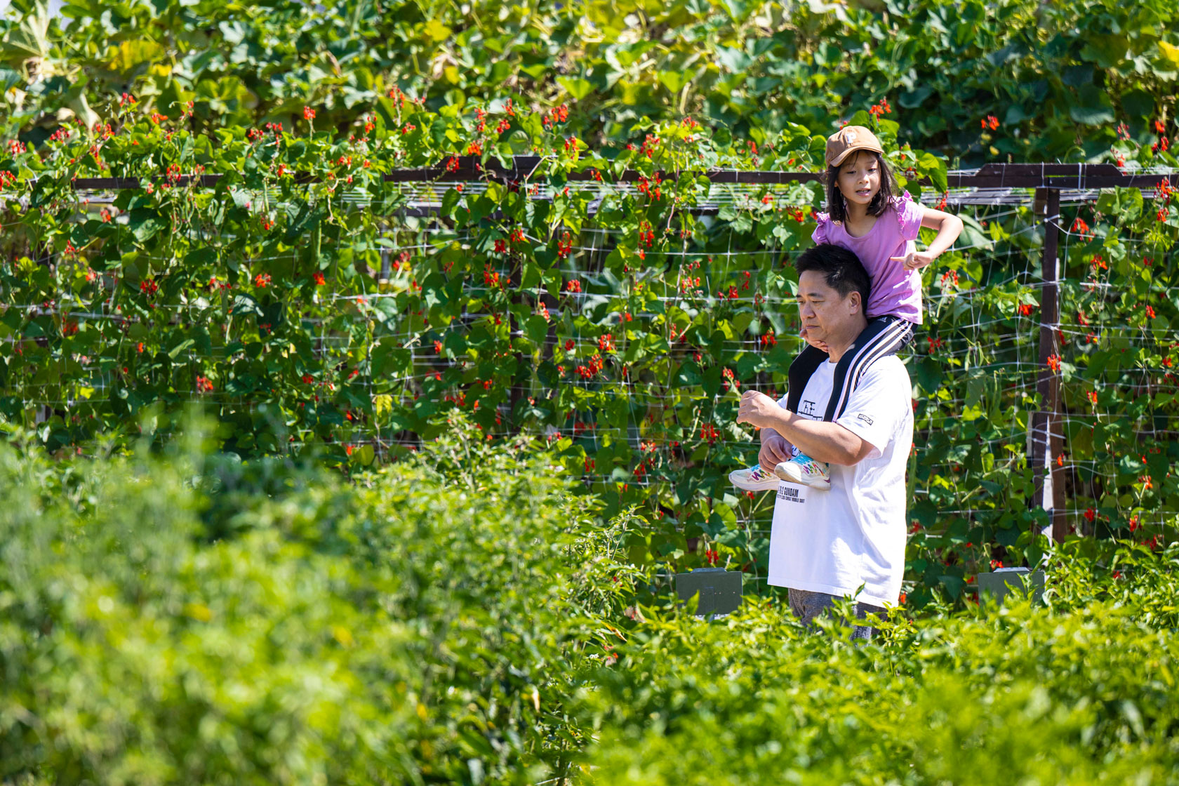 A girl rides on her father's shoulders through the Orange County Fair against a green, leafy backdrop.