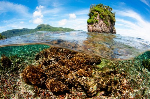 U.S. Pacific Territories and the America the Beautiful Initiative Can ...