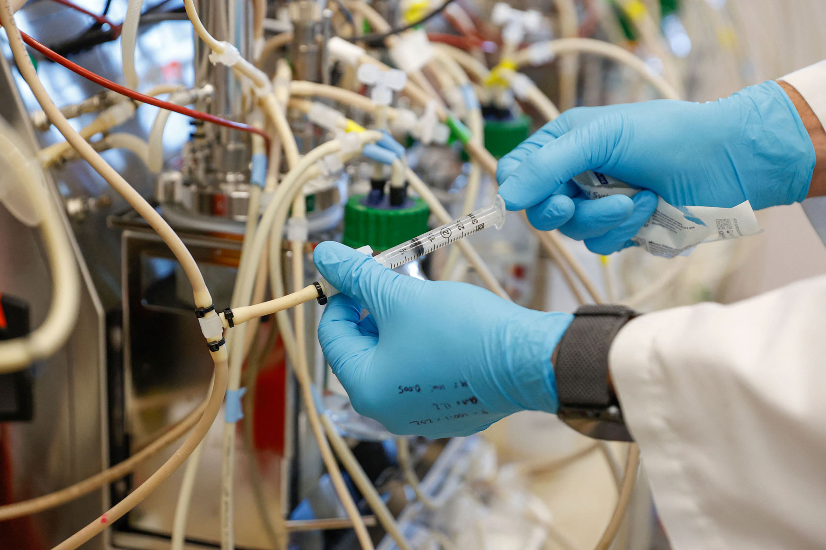 Photo shows hands wearing blue gloves using a syringe to add a liquid to thin tubes.