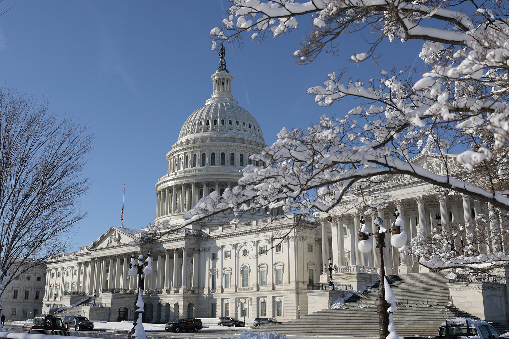 Snow on tree branches in front of the Capitol