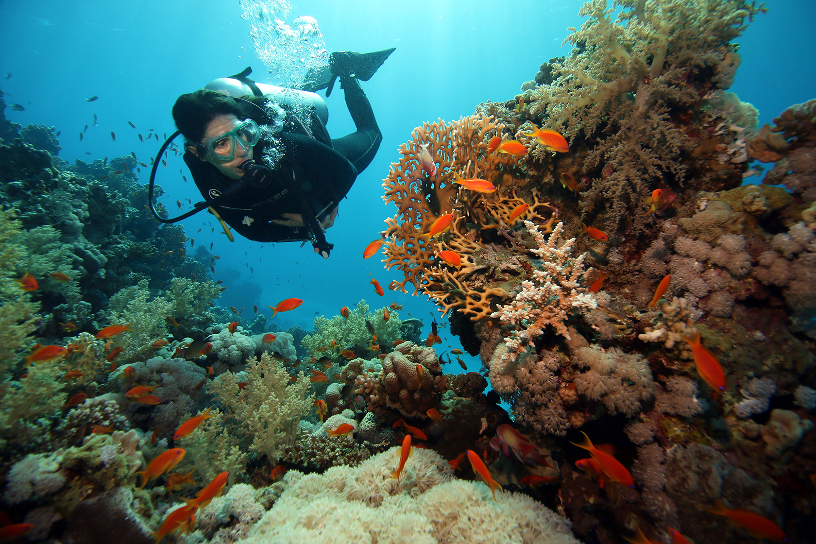 Woman scuba diving