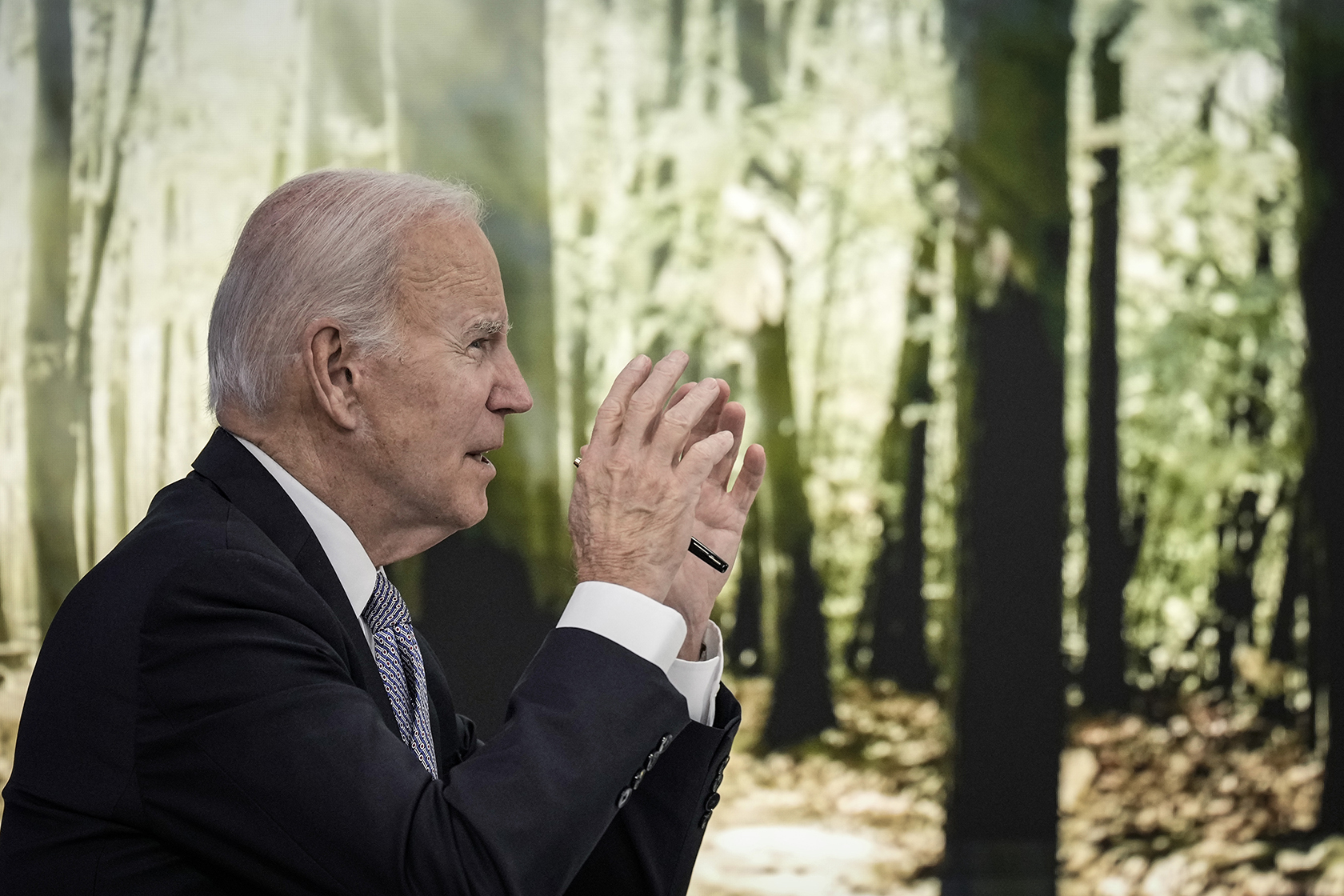 Biden against a background with a picture of a forest