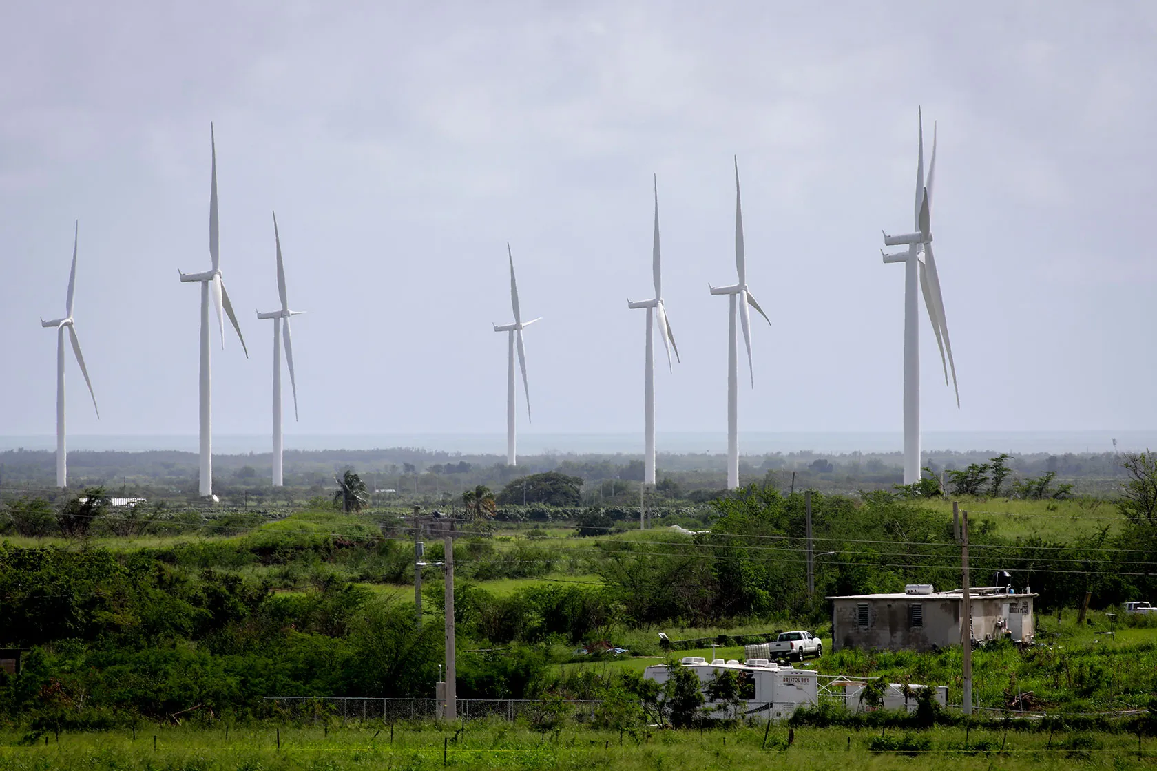 Photo shows tall white wind turbines rising above a green forest with a small house and power lines in the foreground.