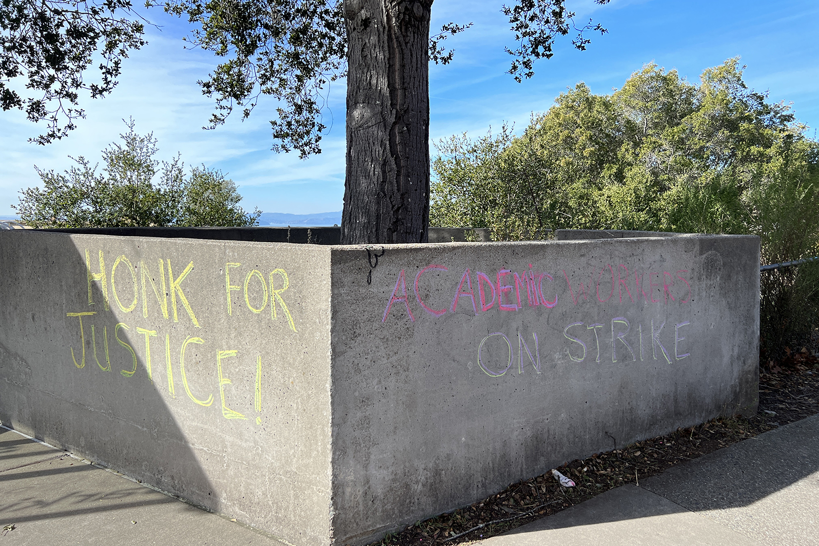 Writing in chalk on cement wall: Honk for Justice; academic workers on strike