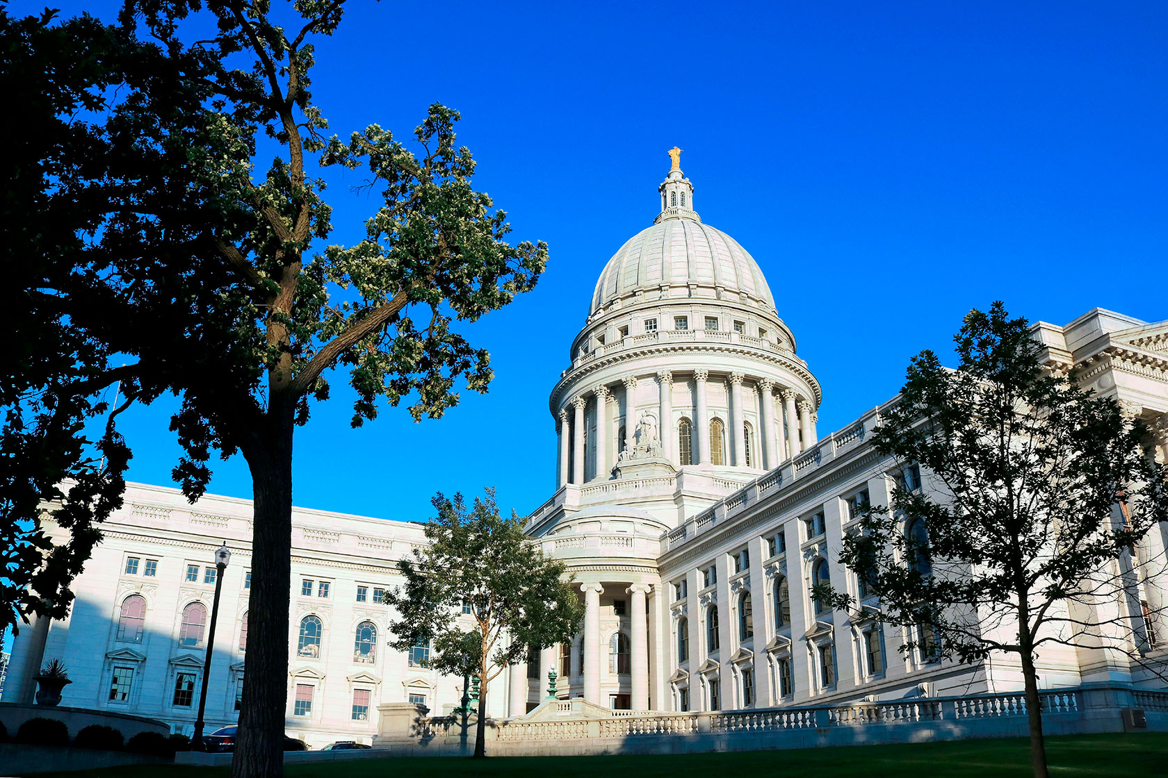 Photo shows the front view of the white Wisconsin Capitol building against a sunny blue sky, with a couple trees in the foreground