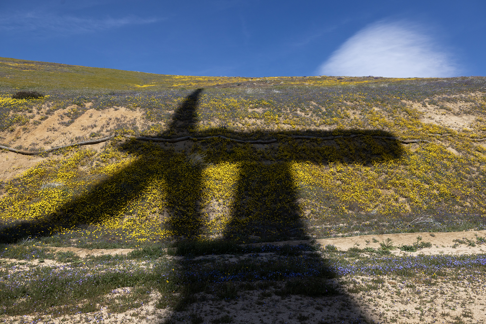 Shadow of wind turbine on hill