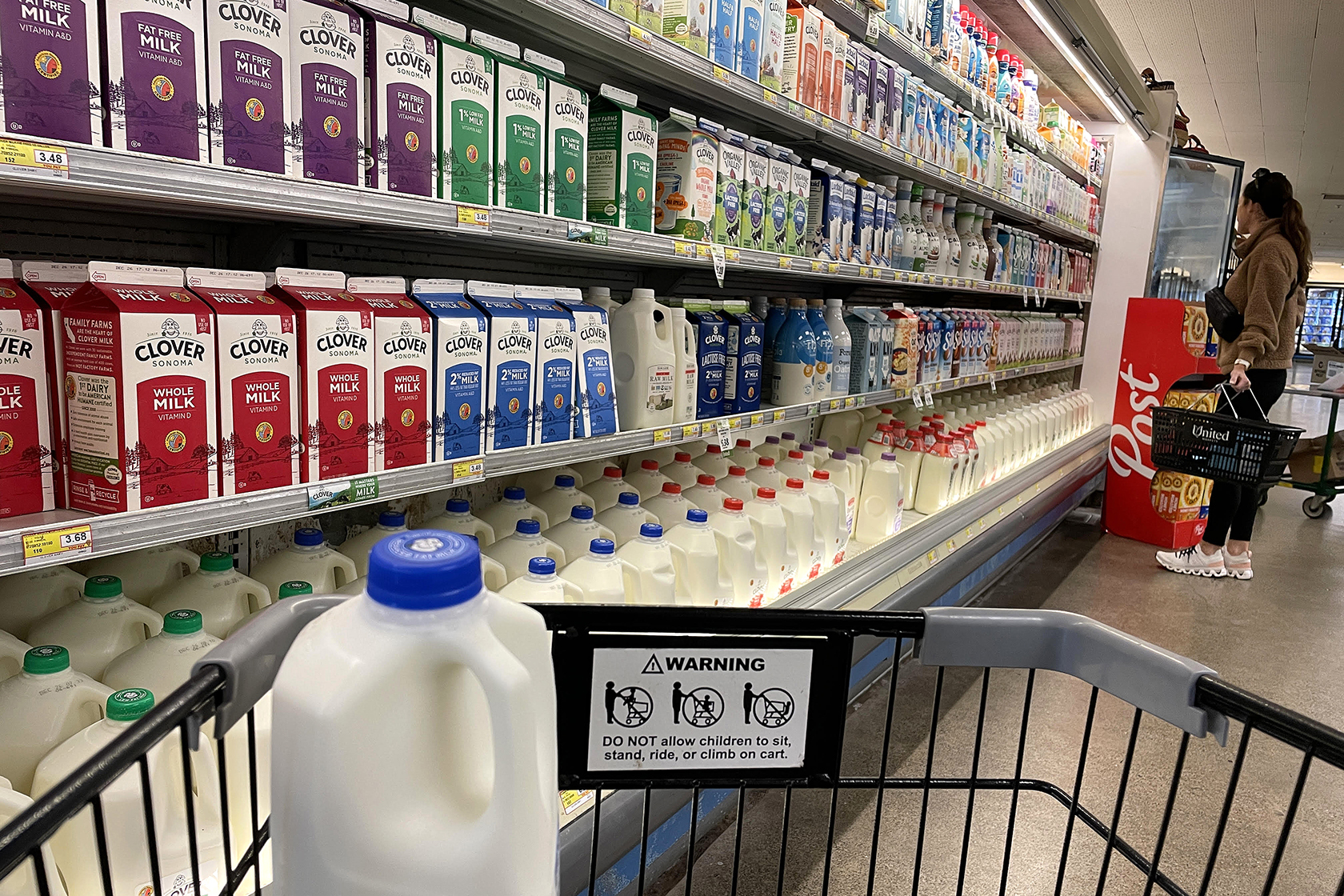 View standing behind grocery cart of products on shelf.