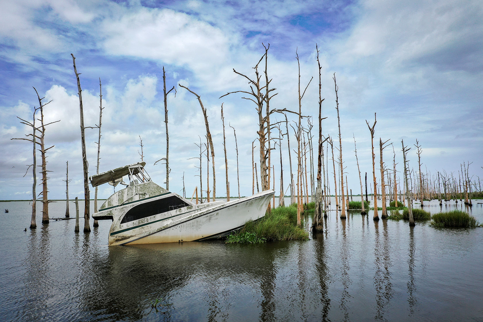 An abandoned boat sits in the water amid cypress trees