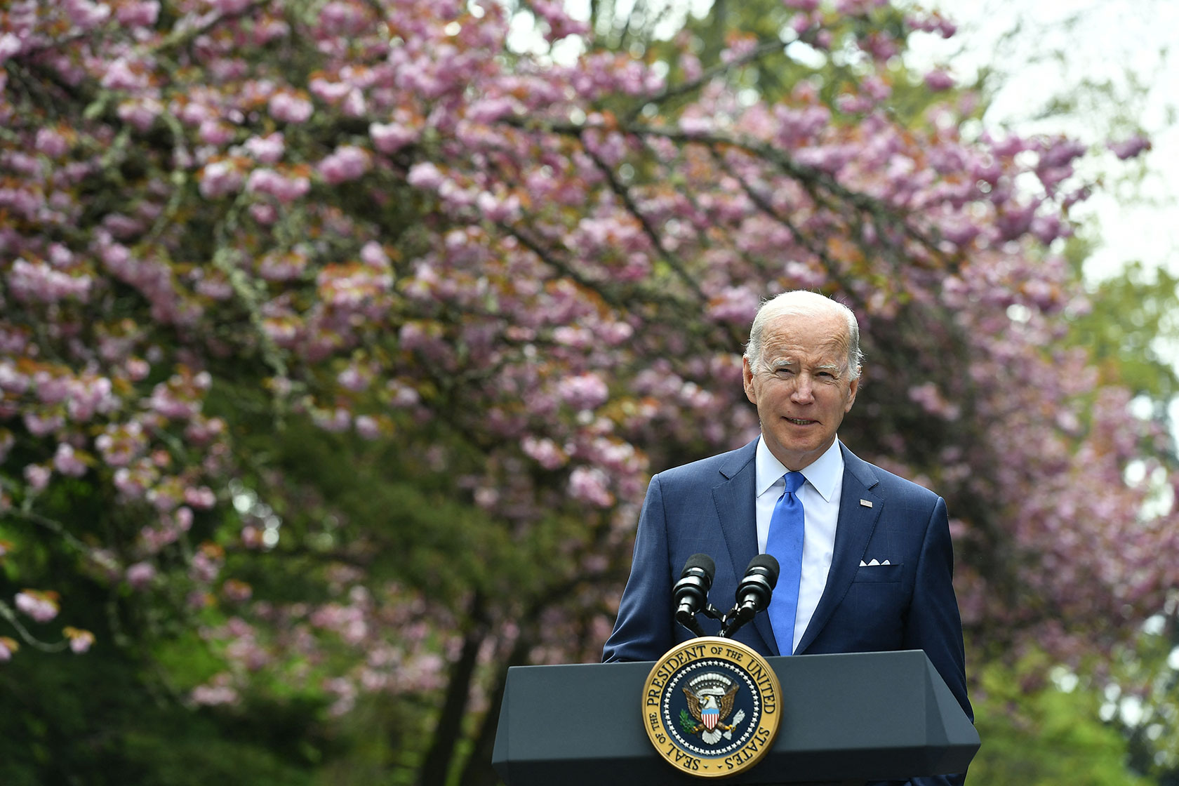Photo shows Biden standing in front of a podium with a pink flowering tree in the background