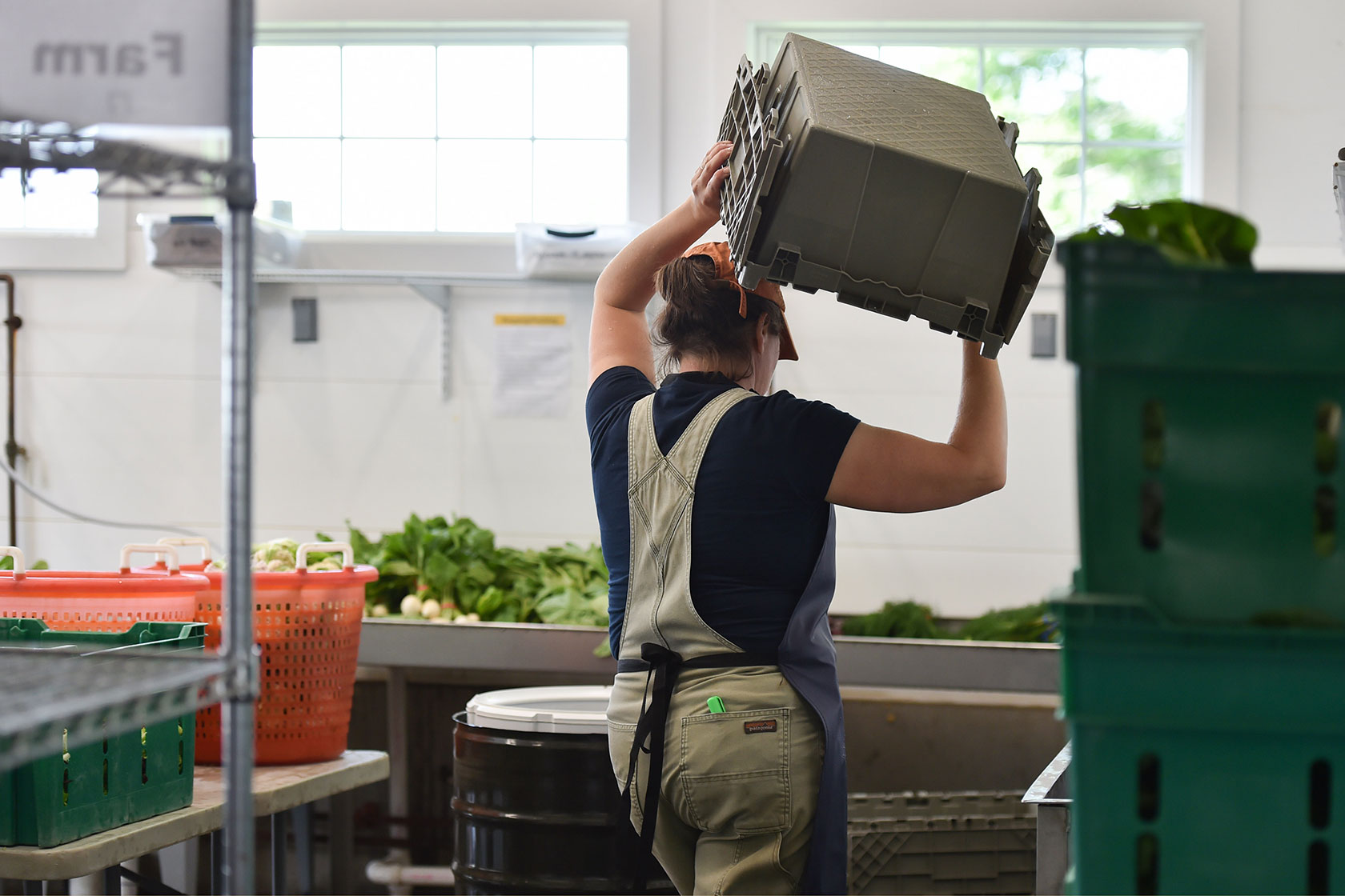 Photo shows a woman in overalls holding a bin, with produce sitting on tables nearby