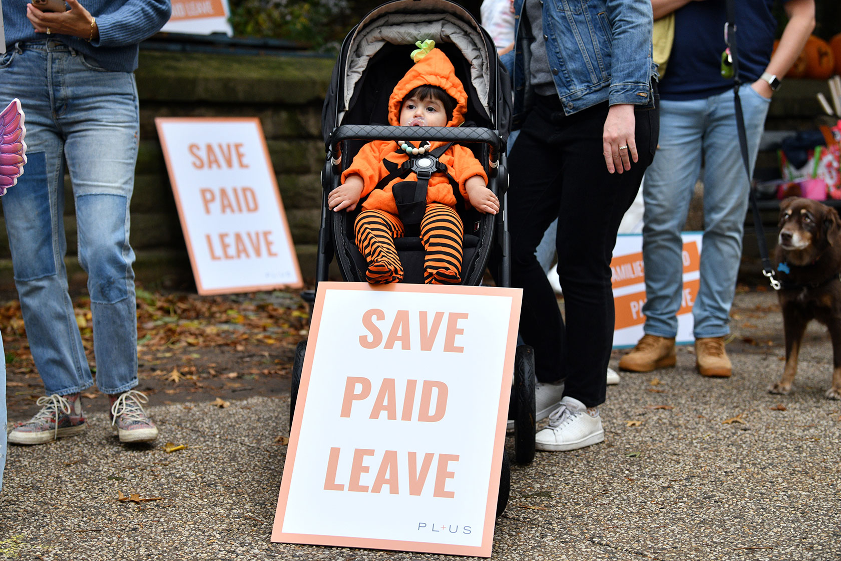 Photo shows a baby in all orange sitting in a stroller with a sign leaning against the stroller that reads 