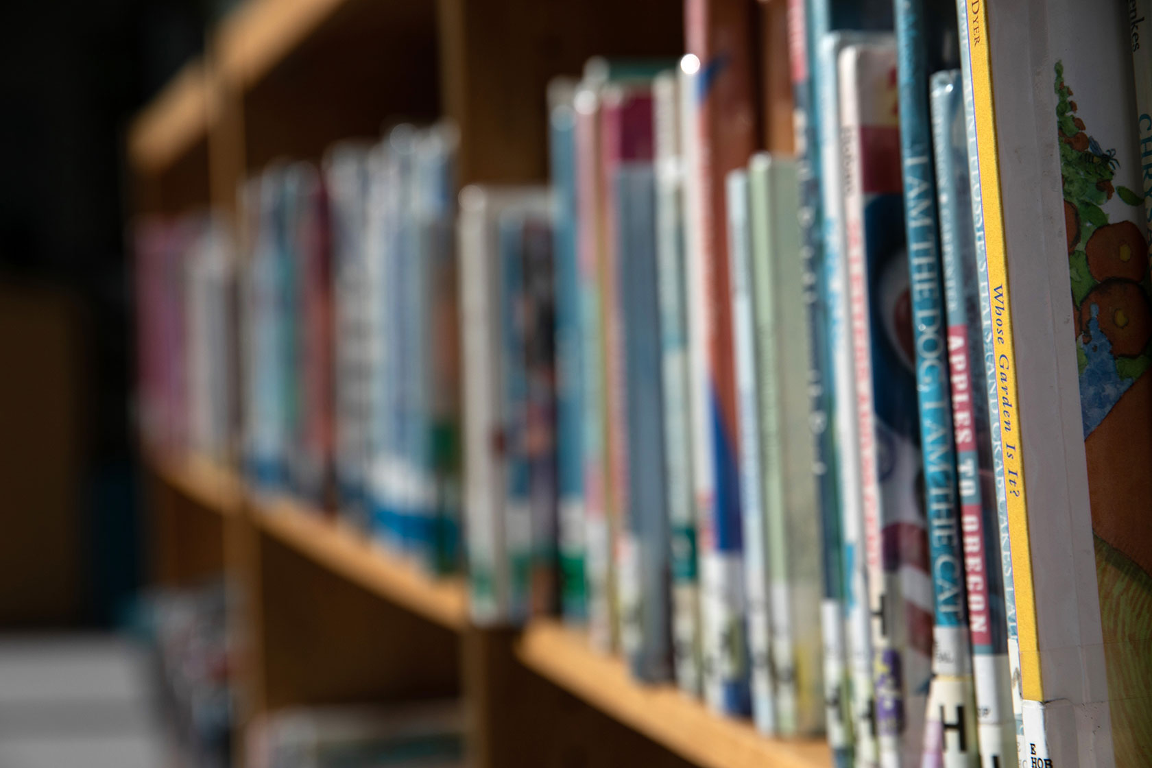 Library bookshelves are pictured.