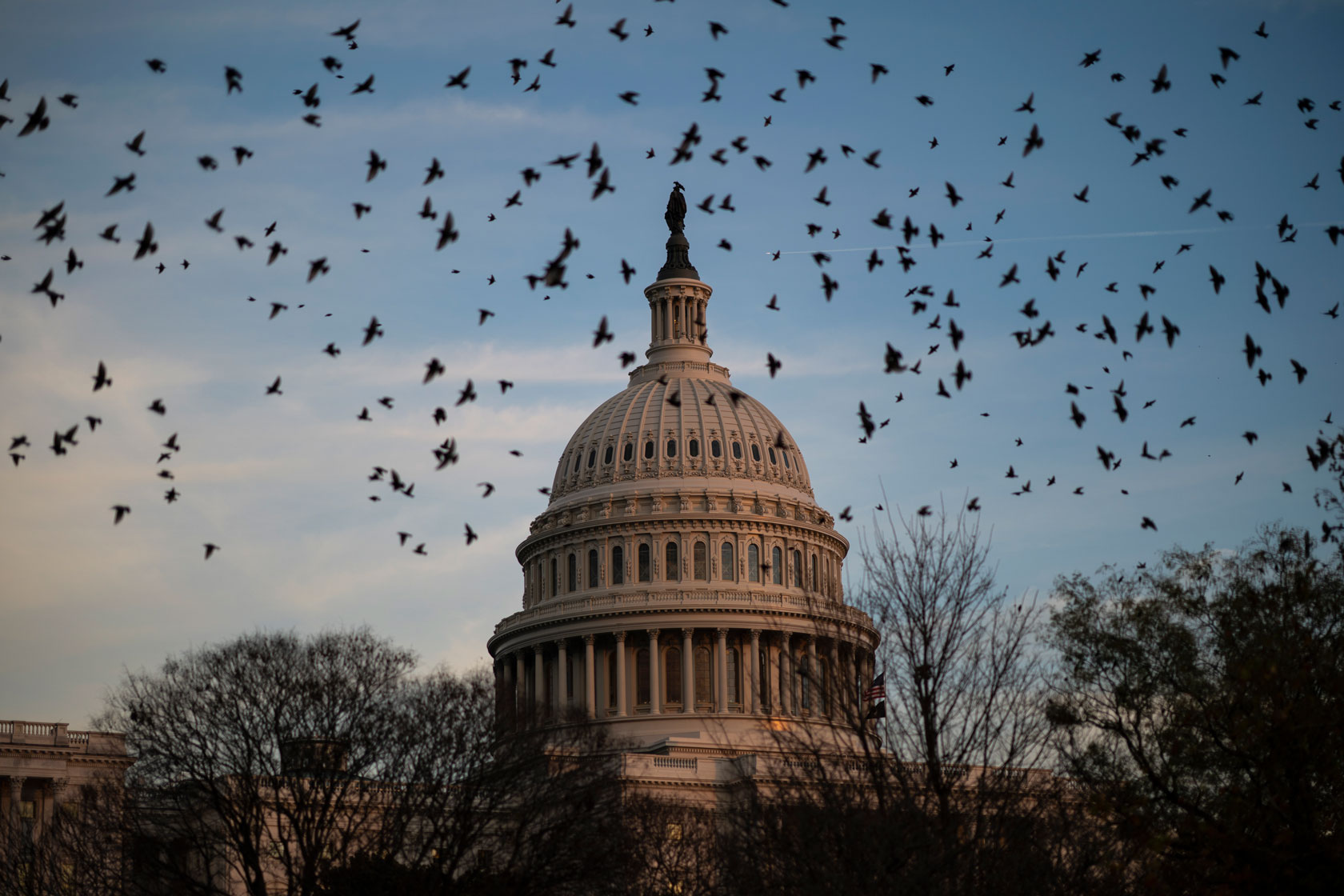 A flock of birds is seen flying around the U.S. Capitol in Washington, D.C., on December 2, 2021.