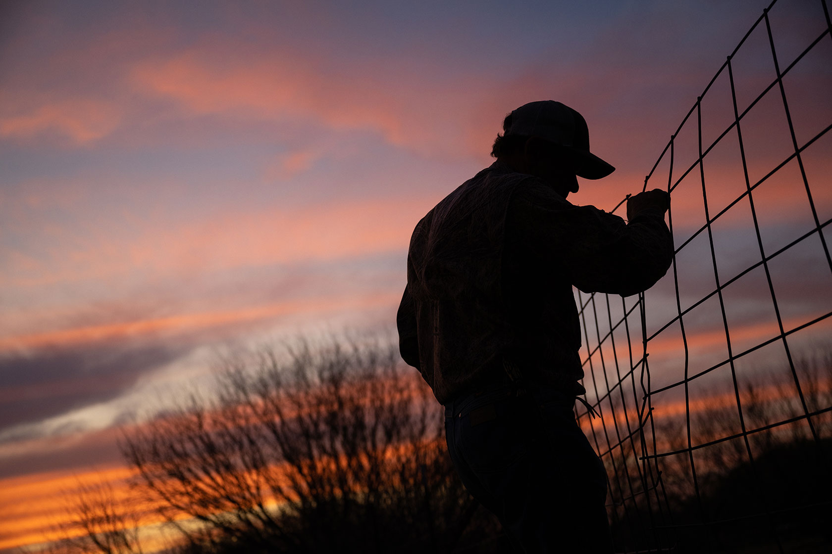 A farmer fixes a broken barn fence.