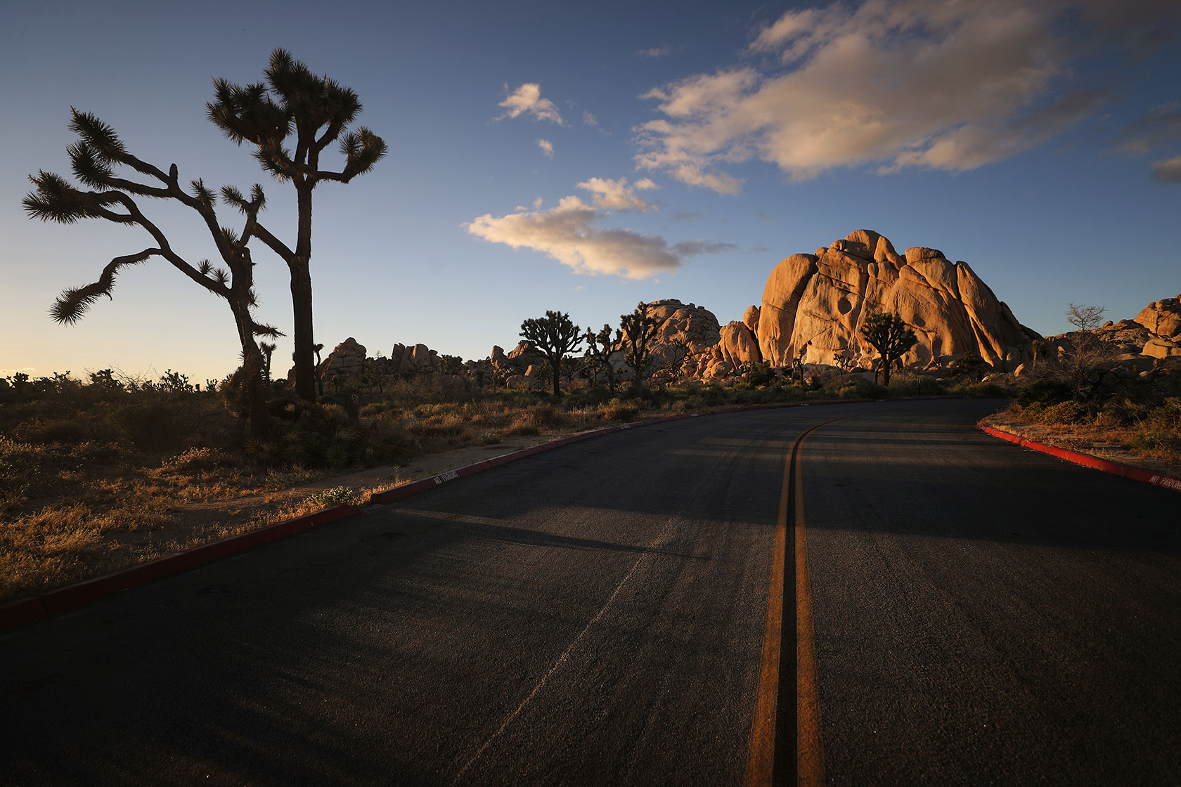 Joshua Tree National Park