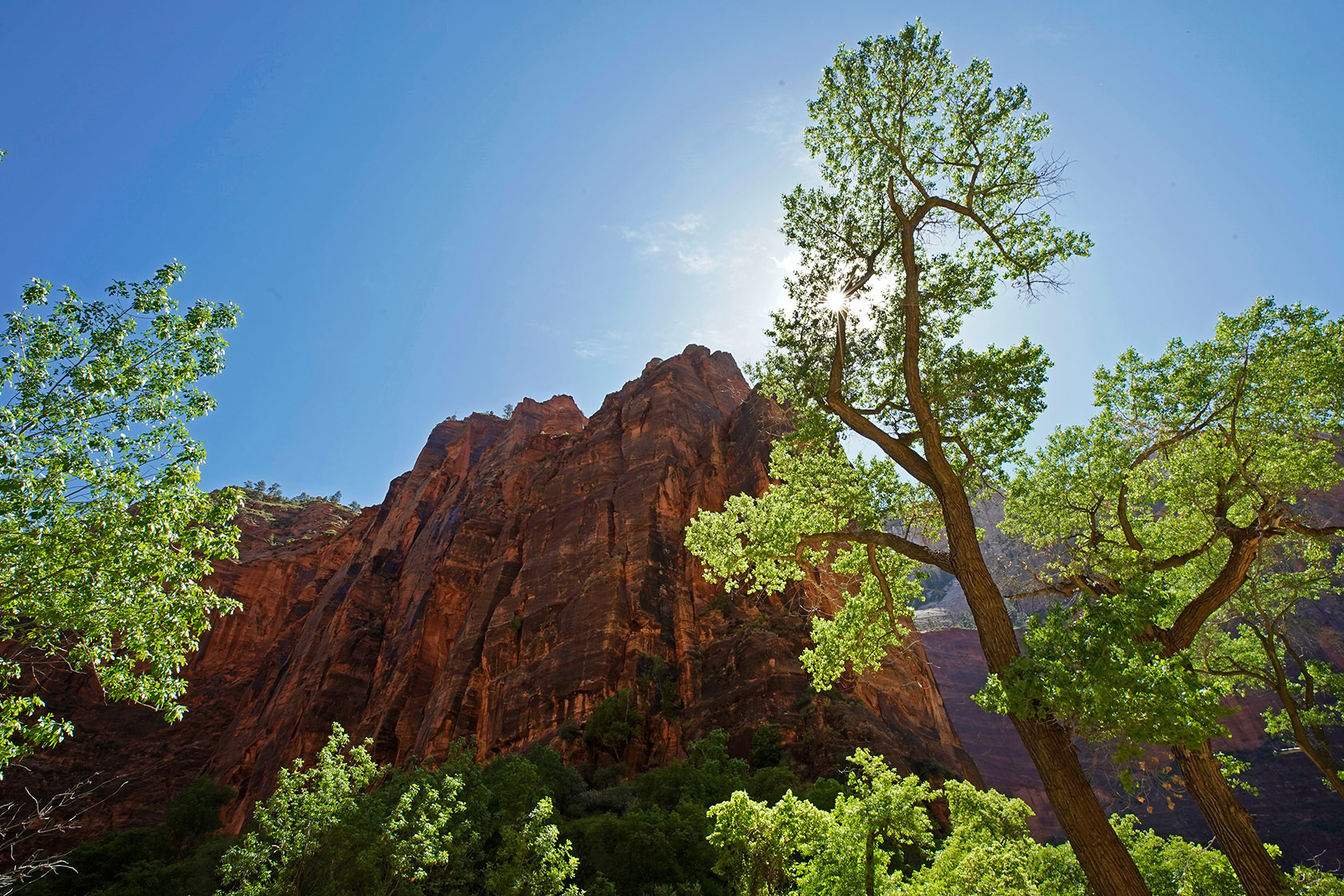 Large rock formations seen through plants