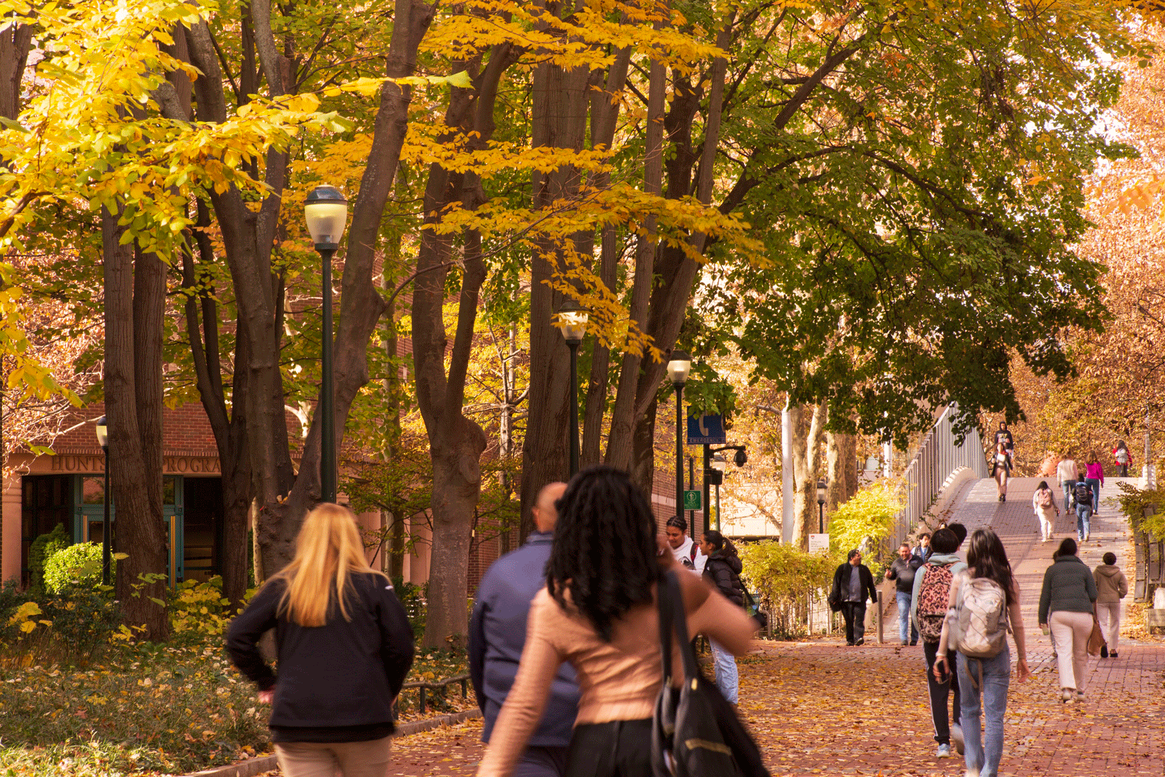 Several students are seen scattered walking along a brick pathway under some trees.