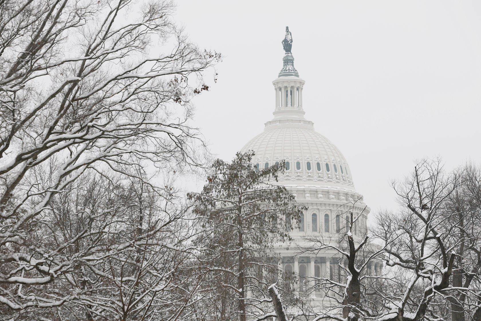 The U.S. Capitol Dome, February 2025.