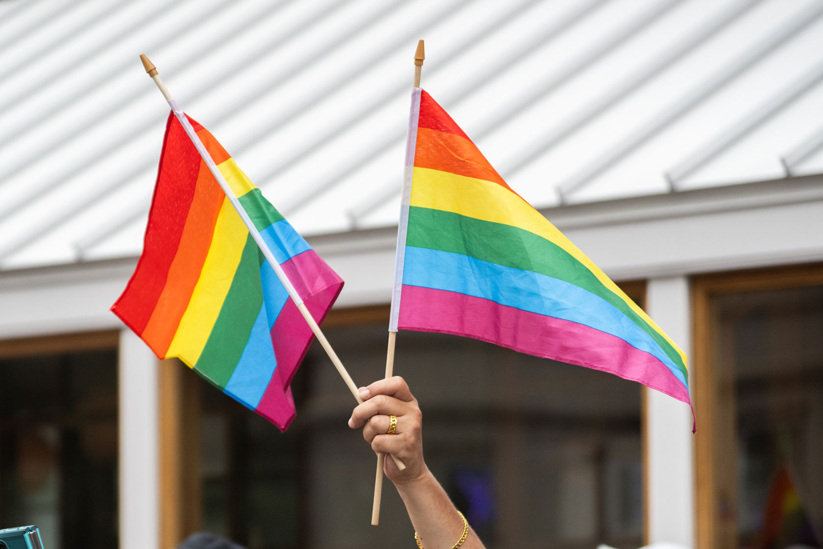 A hand holds two rainbow flags in the air.