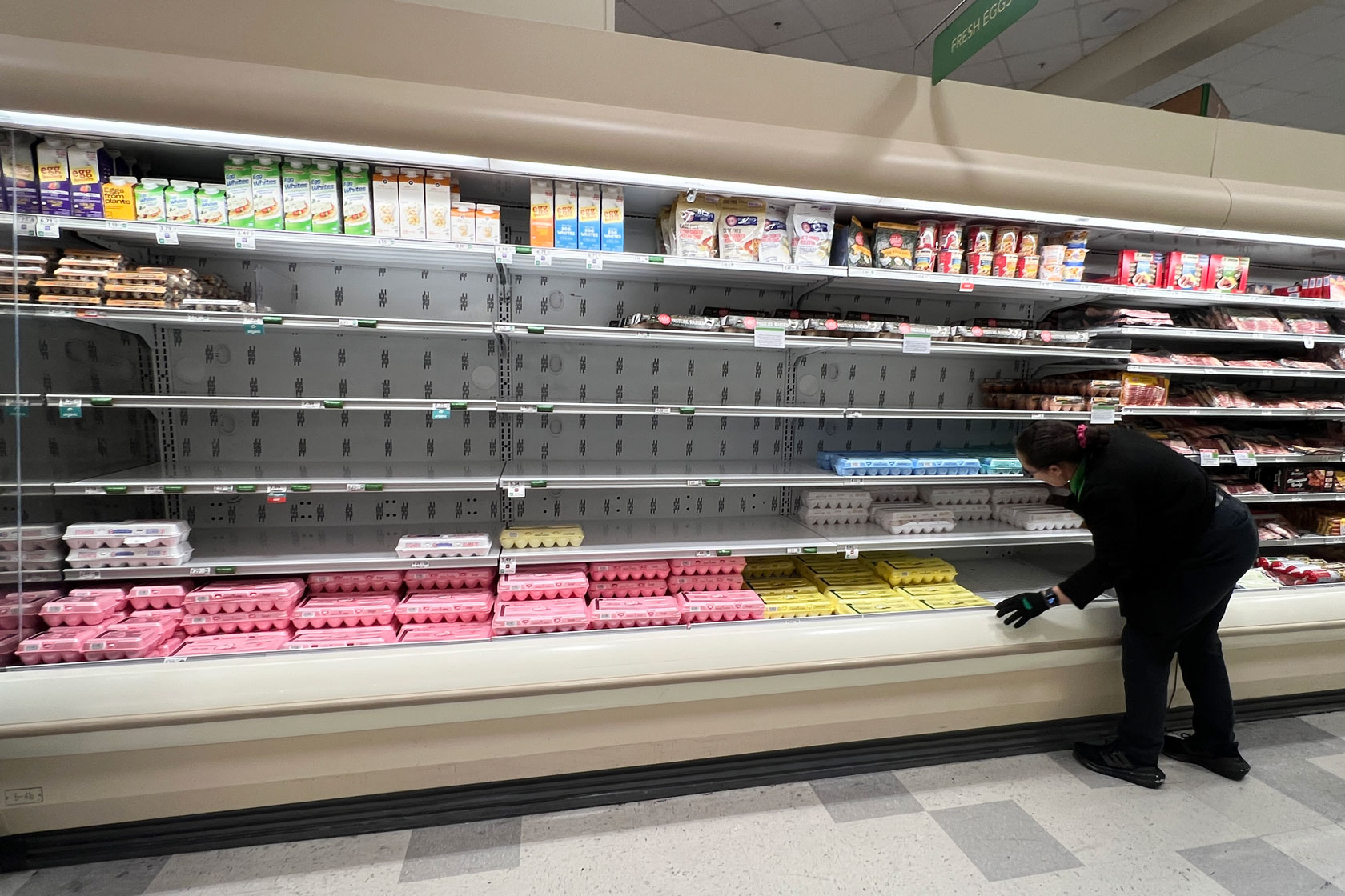 A worker organizes the near-empty shelves of the egg section of a grocery store in Miami, January 23, 2025.