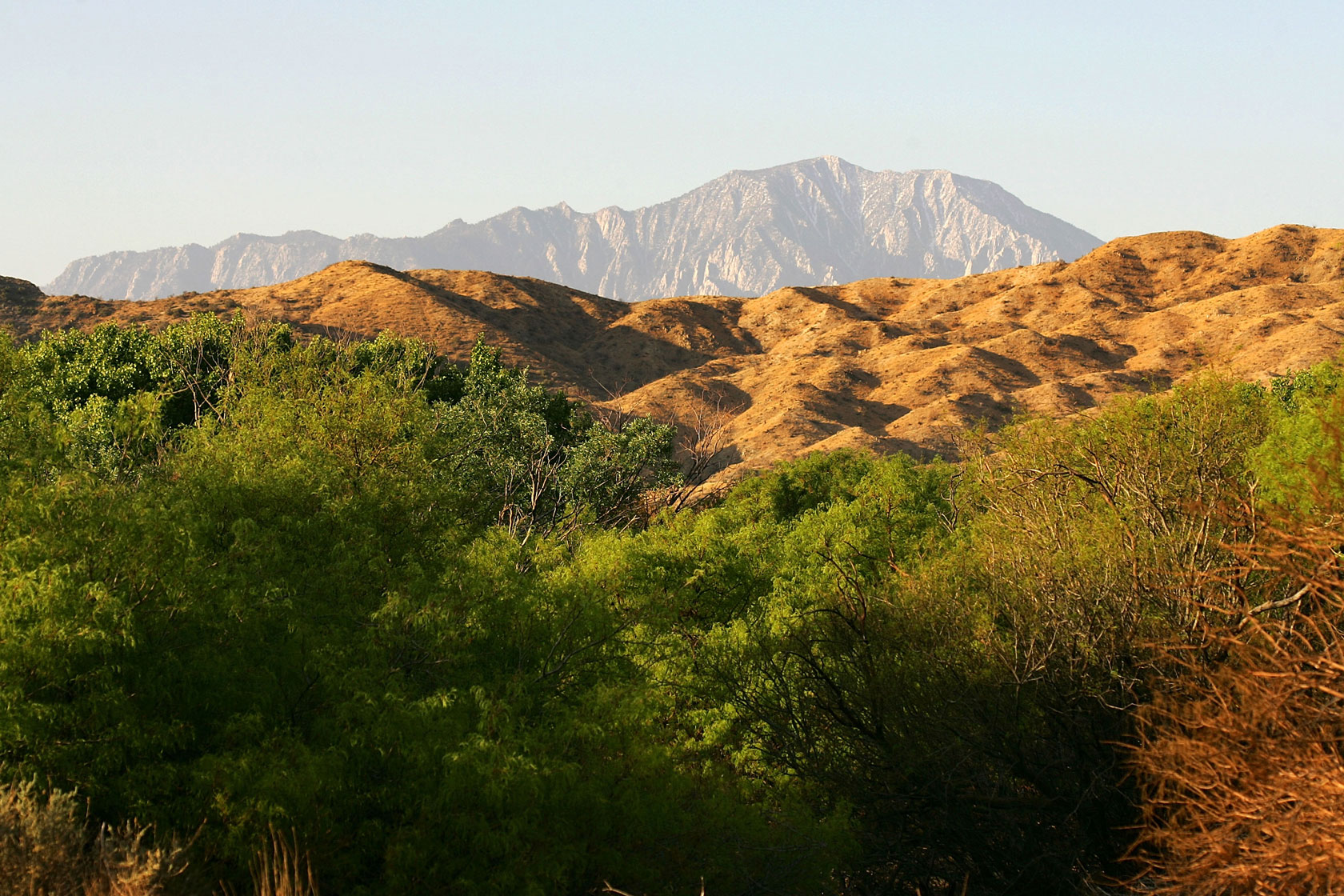 The San Jacinto Mountains are seen from afar at the Big Morongo Wildlife Preserve in Morongo Valley, California, April 11, 2007.