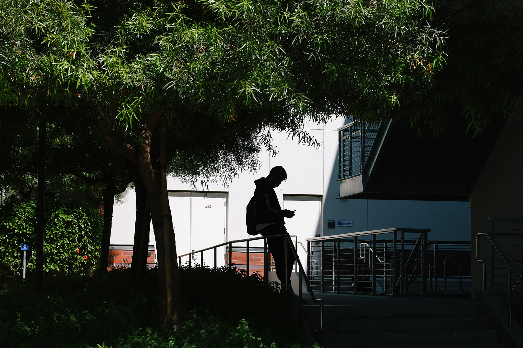 5 Ways Community Colleges Drive Workforce Development