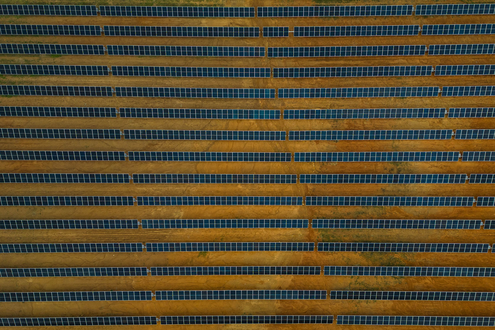 More than a dozen rows of solar panels are seen from above.