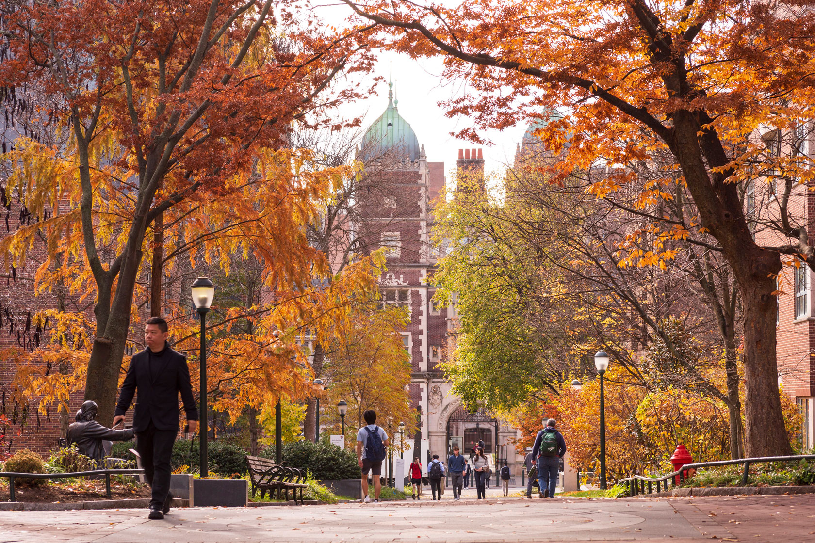 Students walk along a tree-lined pathway.