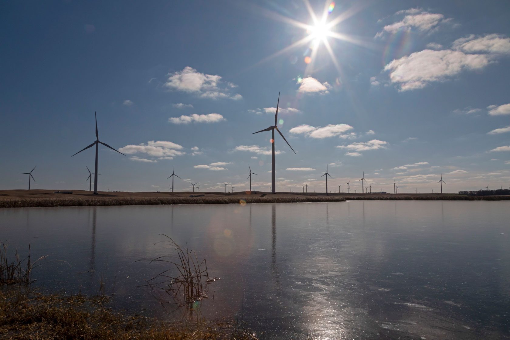 Wind turbines are spaced out across a field.